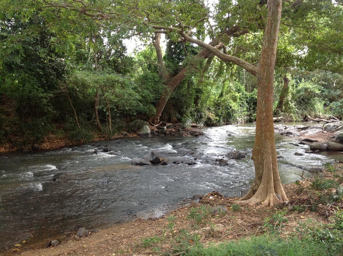 Wildescape, Yala Blocks 3 & 5 Villa Buttala Dış mekan fotoğraf