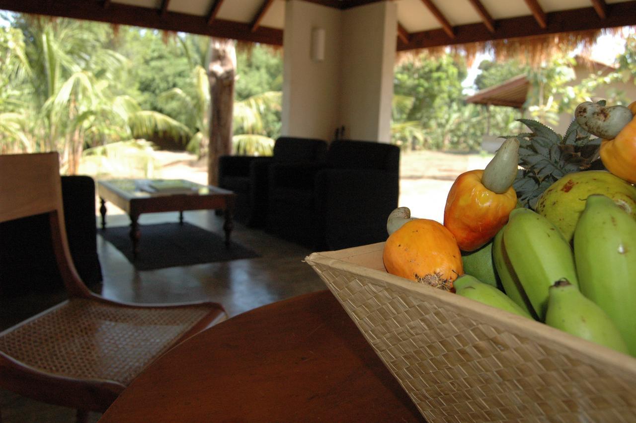 Wildescape, Yala Blocks 3 & 5 Villa Buttala Dış mekan fotoğraf