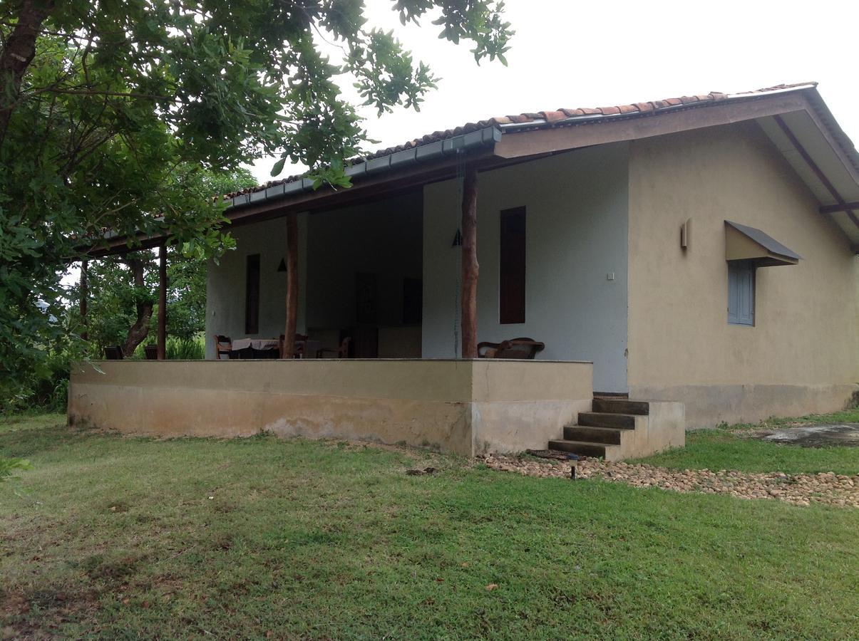 Wildescape, Yala Blocks 3 & 5 Villa Buttala Dış mekan fotoğraf